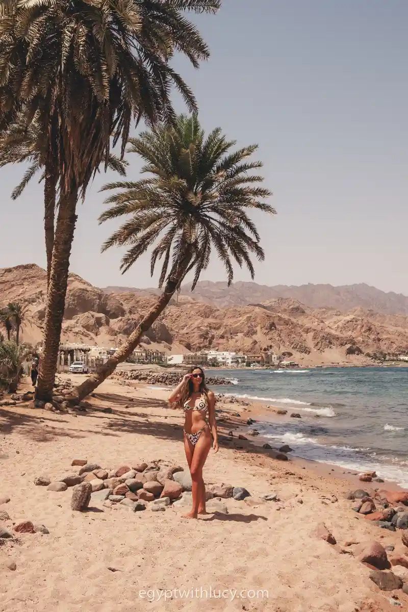 Lucy stands on a sandy section of Assalah Beach next to a leaning palm tree.