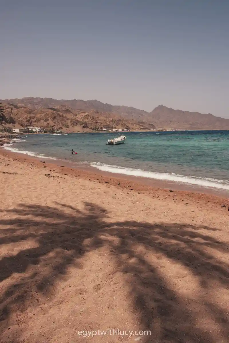 The shadow of a palm tree stretches across the sand at Assalah Beach.