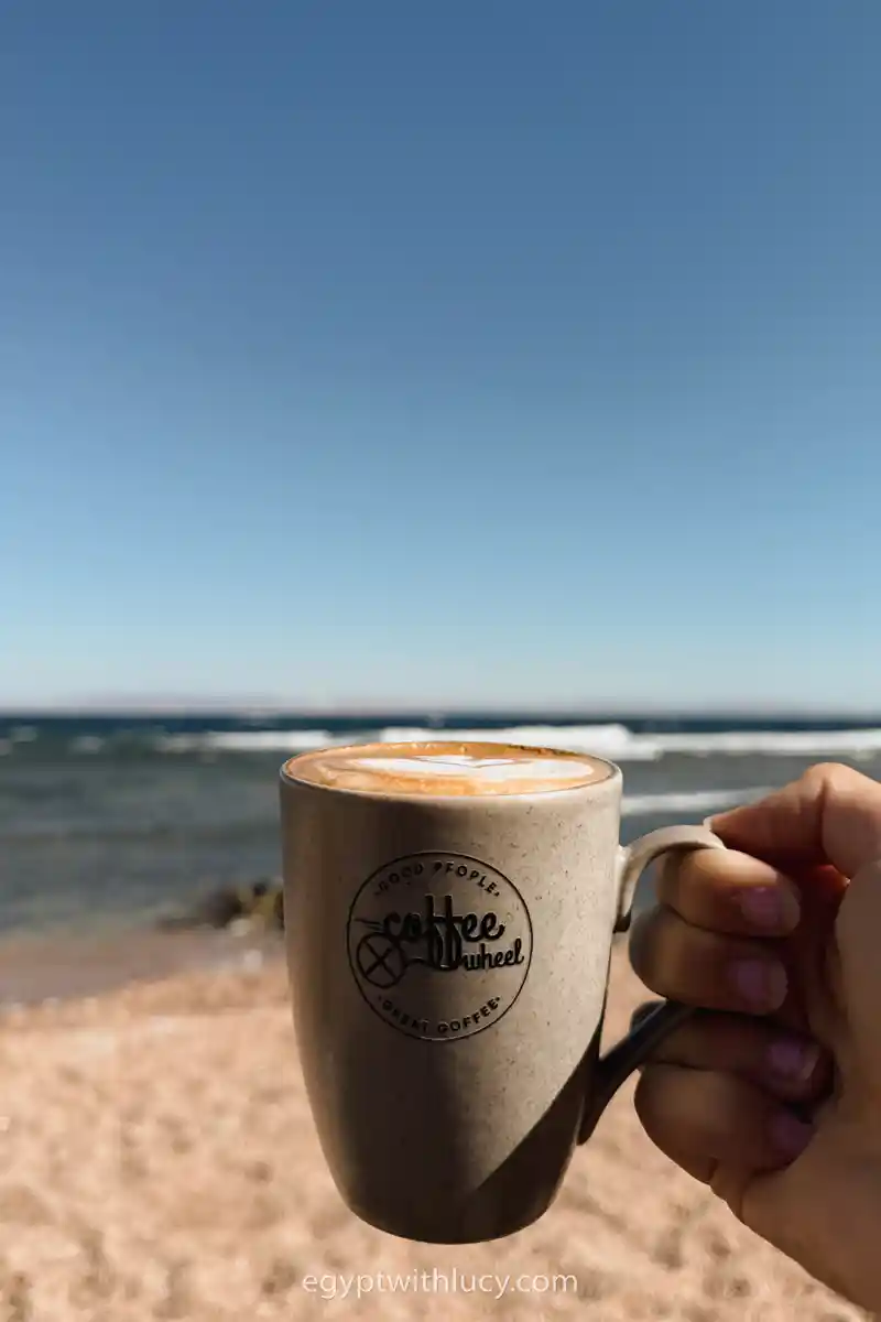 A hand holds a Coffee Wheel cup against the ocean background.