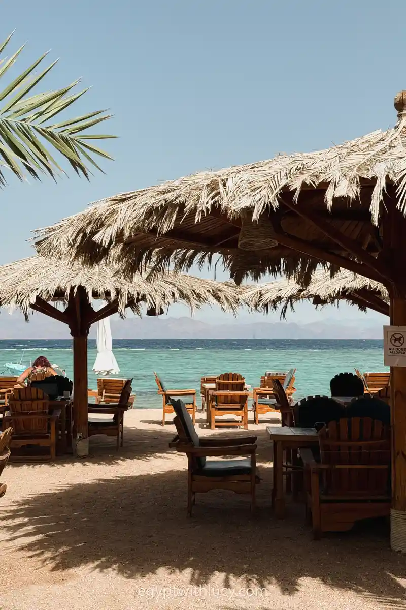 Wooden chairs and tables stand under thatched umbrellas on the sand at Dive Urge Beach.