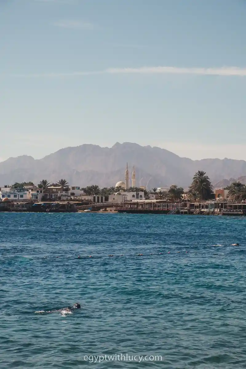 A swimmer moves through deep blue water with a city, mosque, and mountains background.