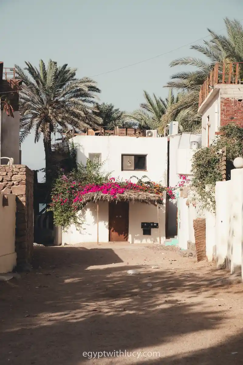 A white house featuring a thatched awning covered in bright pink bougainvillea flowers.