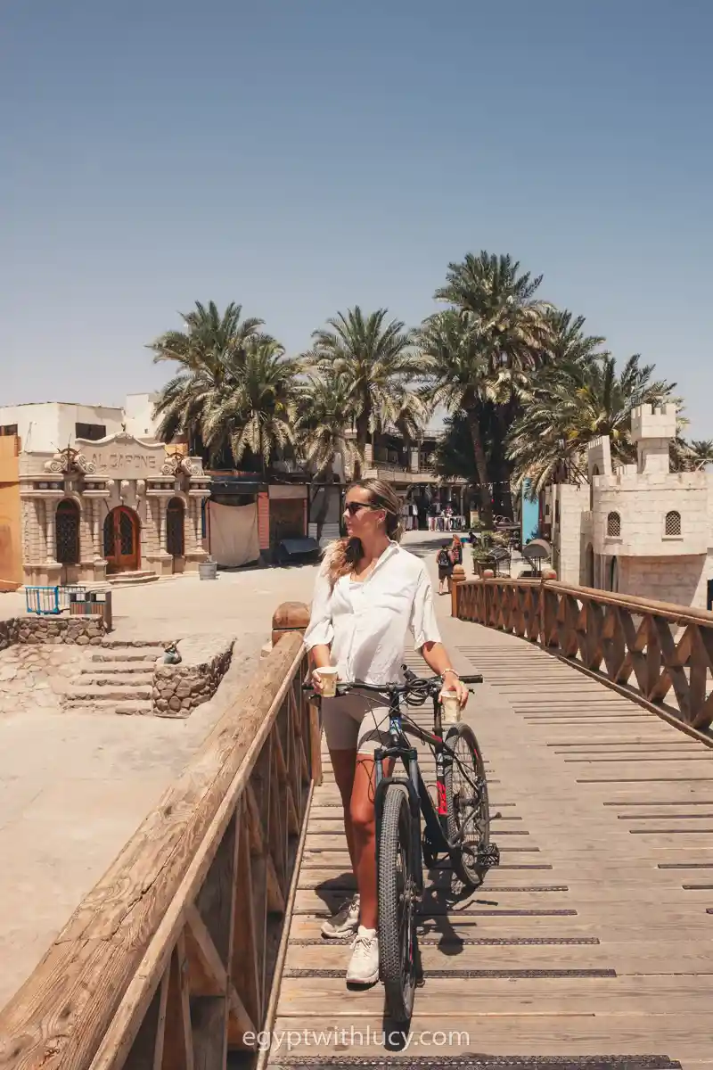 Lucy standing with a bicycle on a wooden bridge lined with palm trees.