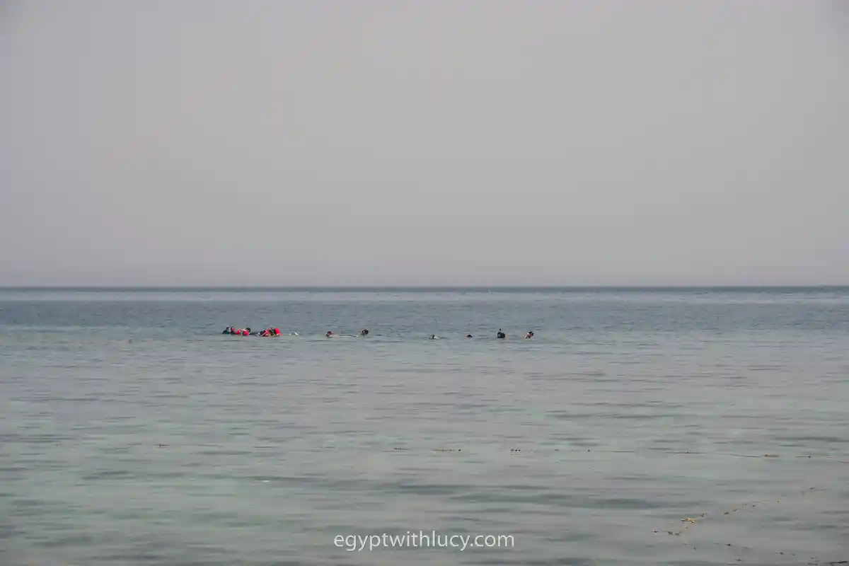 A small group of tourists snorkeling in the calm, open sea under a hazy sky.